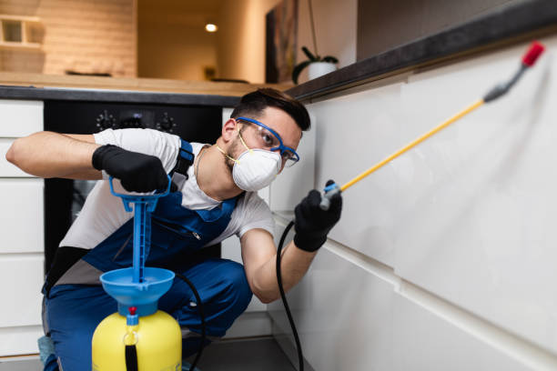 Trusted Tye, TX Pest Control Experts