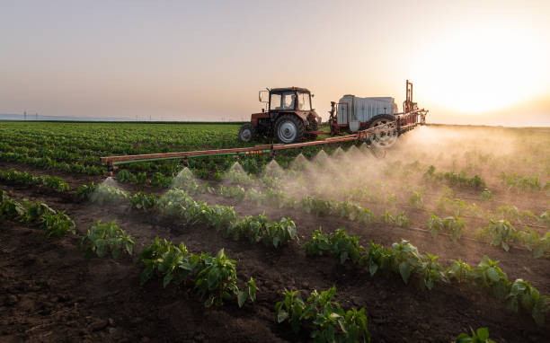 Best Pest Inspection Near Me  in Tye, TX