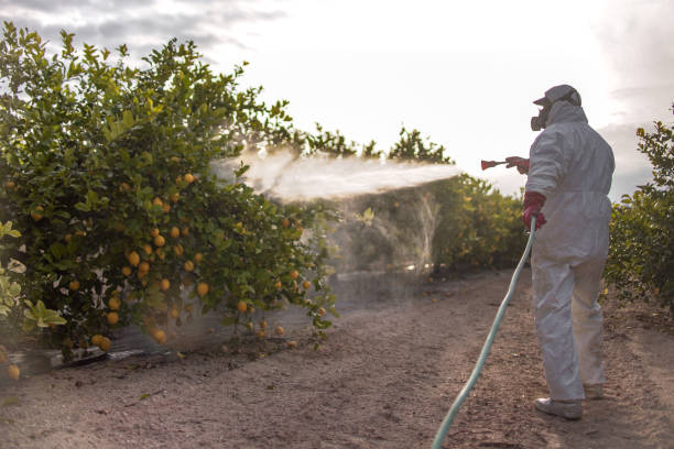 Best Emergency Pest Control  in Tye, TX