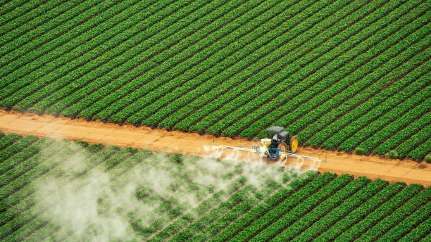Best Pest Inspection Near Me  in Tye, TX